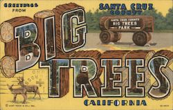 Greetings from Big Trees Postcard