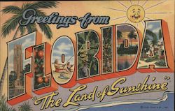 Greetings from Florida Postcard Postcard Postcard