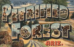 Greetings from Petrified Forest Postcard