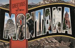 Greetings from Montana Postcard