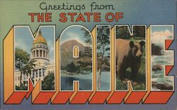 Greetings from Maine Postcard