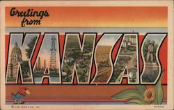 Greetings from Kansas Postcard