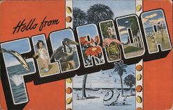 Greetings from Florida Postcard Postcard 