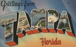 Greetings from Tampa Florida Postcard Postcard Postcard