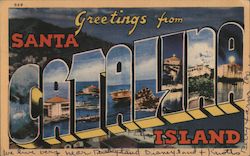 Greetings from Santa Catalina Island California Postcard Postcard Postcard