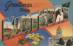 Greetings from Kentucky Postcard Postcard Postcard