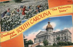 Greetings from South Carolina Postcard