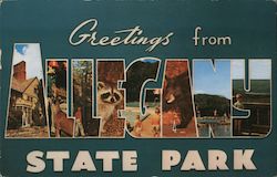 Greetings from Allegheny State Park Salamanca, NY Postcard Postcard Postcard