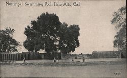 Municipal Swimming Pool Postcard