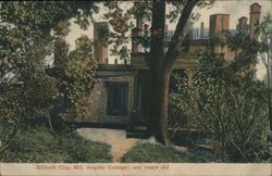Angelo Cottage Postcard