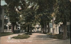 Elm Street Postcard