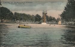Lake in Electric Park Postcard