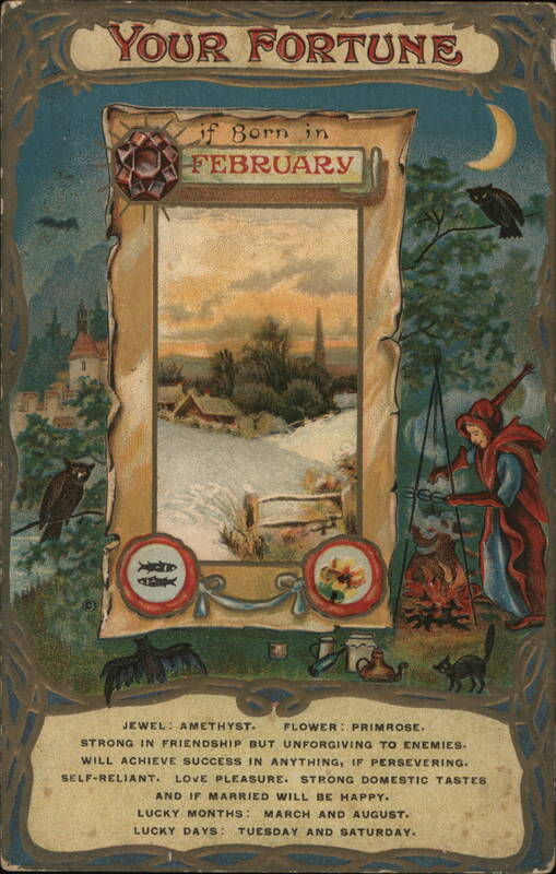 February Fortune Telling Postcard Astrology & Zodiac