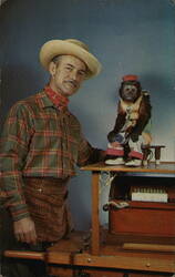 Chris The Wonder Monkey Postcard