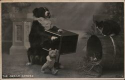 The Organ Grinder Postcard