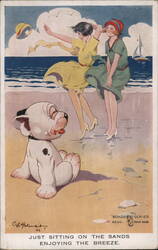 Just Sitting on the Sands Postcard