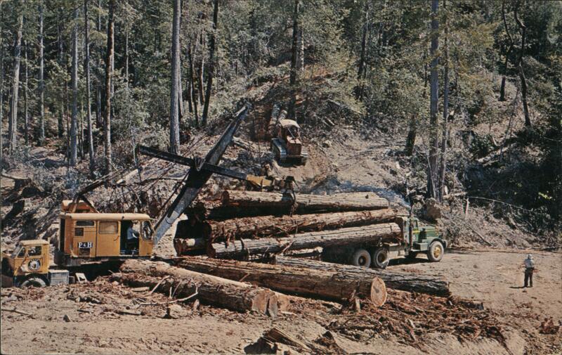 Loading Redwood Logs Fort Bragg California