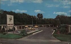 Bambi Motel Postcard