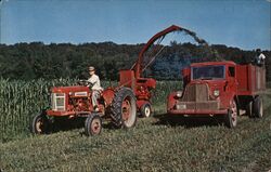 Harvesting Sudan Grass Postcard