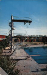 Shamrock Hilton Pool Postcard