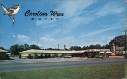 Carolina Wren Motel Postcard