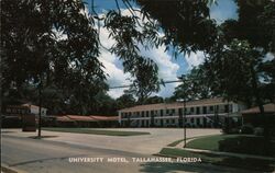 University Motel Postcard