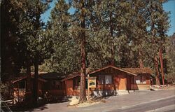 Honey Bear Motel Postcard