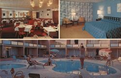 St. Francis Motor Lodge Postcard