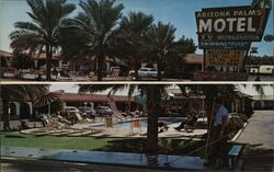 Arizona Palms Motel, Swimming Pool Postcard