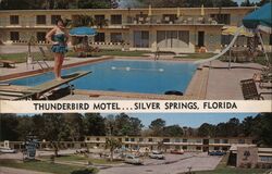Thunderbird Motel Pool Postcard