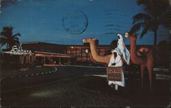 Sahara Hotel Miami Beach Postcard