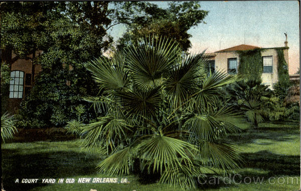 A Court Yard In Old New Orleans Louisiana