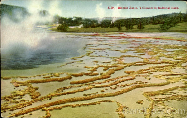 Biscuit Basin Yellowstone National Park