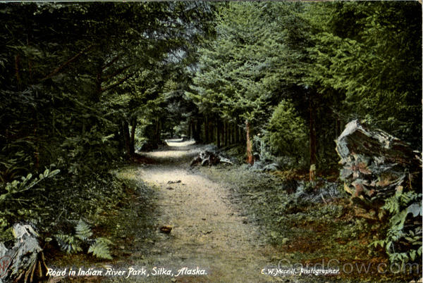 Road In Indian River Park Sitka Alaska