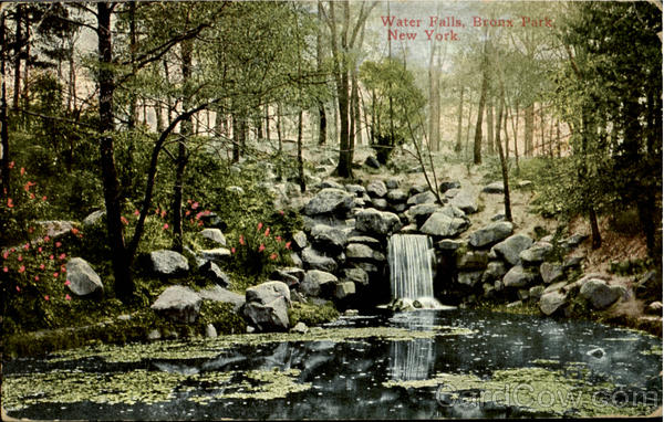 Water Falls,Bronx Park New York City