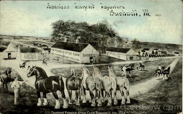 Trumans Pioneer Stud Farm Bushnell Illinois