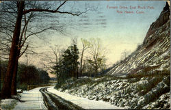 Farnam Drive East Rock Park Postcard