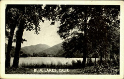 Blue Lakes Upper Lake, CA Postcard Postcard