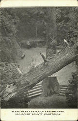 Scene Near Center Of Canyon Park Postcard