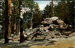 Helen Hunt Jackson'S Grave Postcard