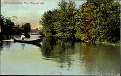 On The Sebasticook Run Pittsfield, ME Postcard Postcard