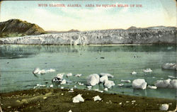 Area 354 Square Miles Of Ice, Muir Glacier Postcard
