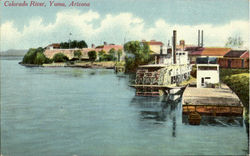 Colorado River Yuma, AZ Postcard Postcard