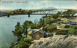 Colorado River Yuma, AZ Postcard Postcard