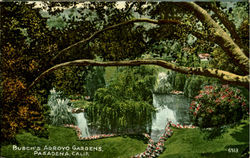 Busch'S Arroyo Gardens Pasadena, CA Postcard Postcard