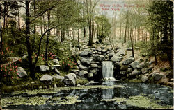 Water Falls,Bronx Park Postcard