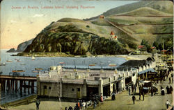 Scene At Avalon, Catalina Island, Showing Aquarium Postcard