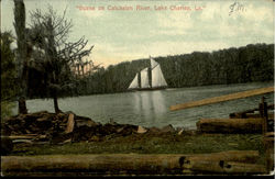 Scene On Calcasien River Lake Charles, LA Postcard Postcard