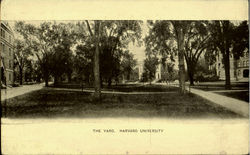 The Yard, Harvard University Postcard