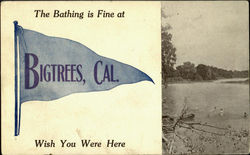 The Bathing Is Fine At Big Trees, CA Postcard Postcard
